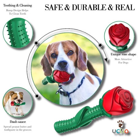 Top 10 Dog Toys